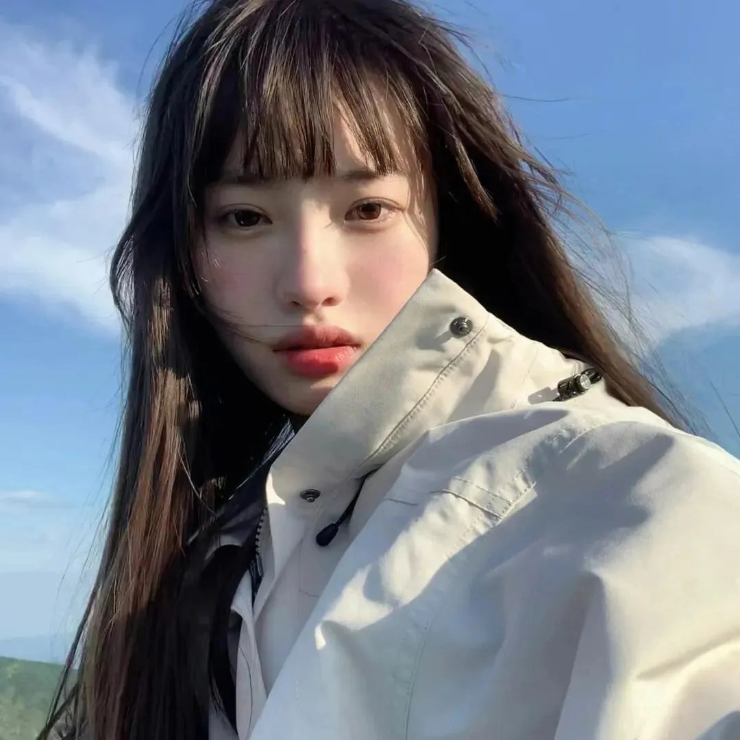 与凤飞
